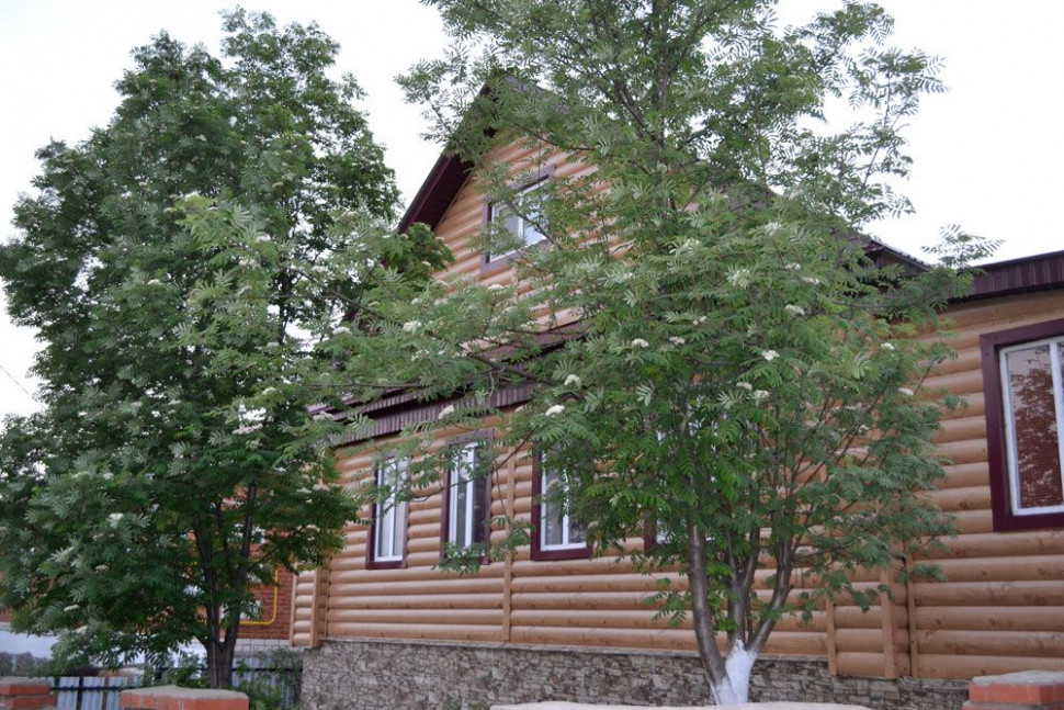 Металлический сайдинг под бревно